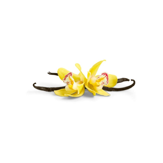 Madagascar Grade A Vanilla Pods