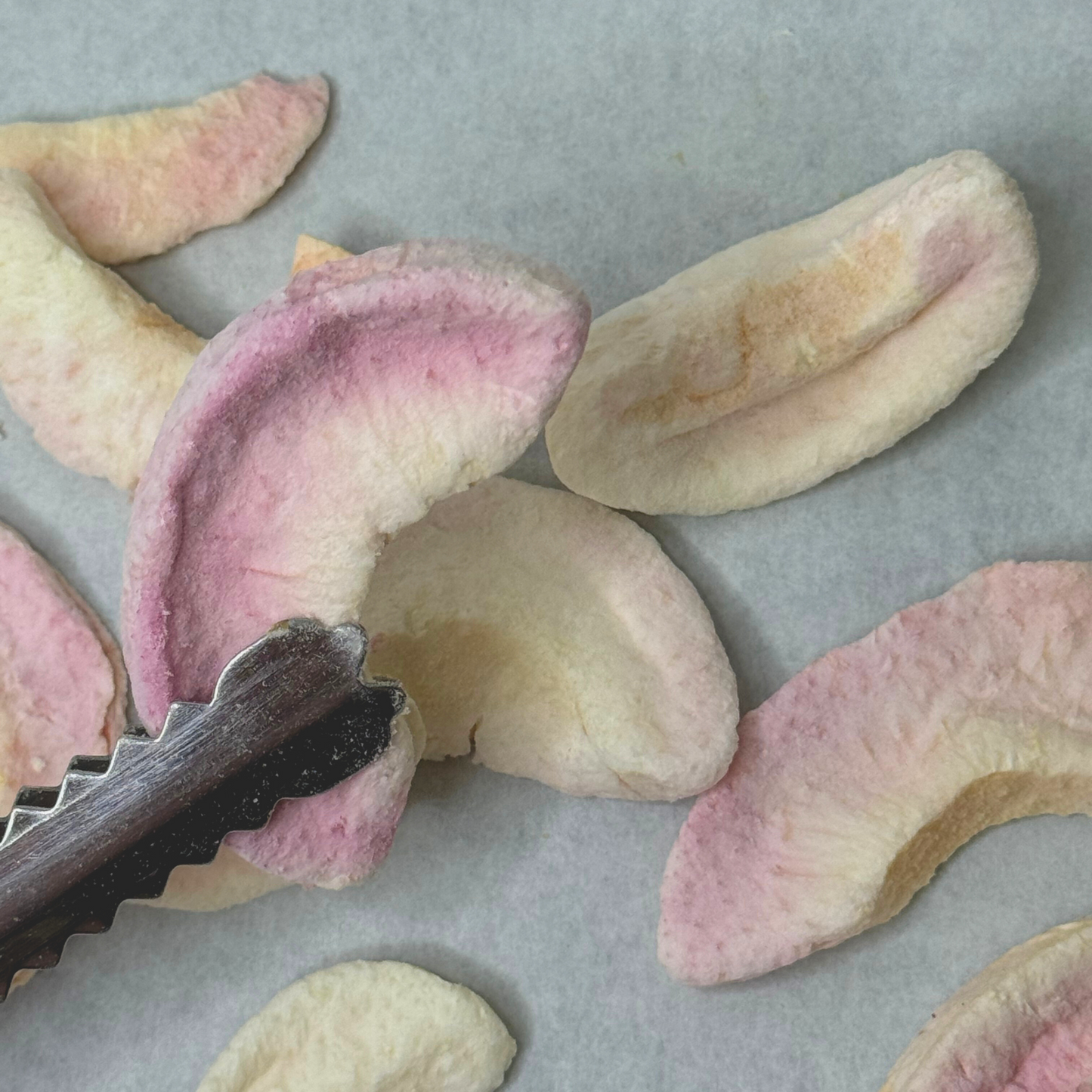 Freeze Dried Peach Slices