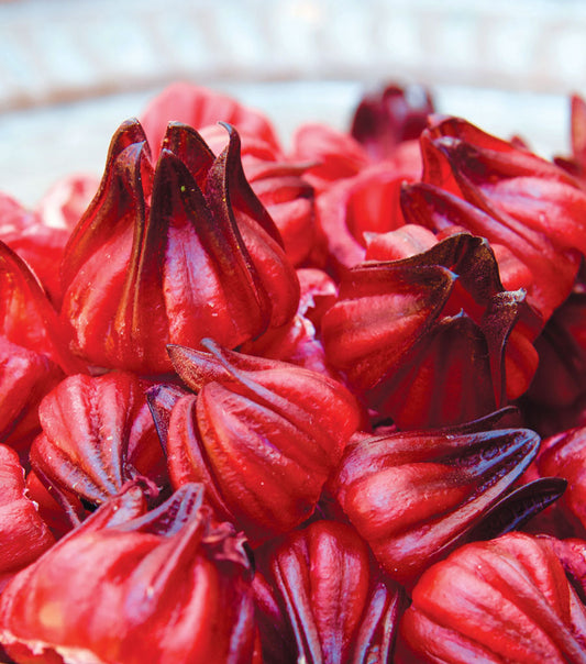 Dried Rosella Flower 300g / 1kg