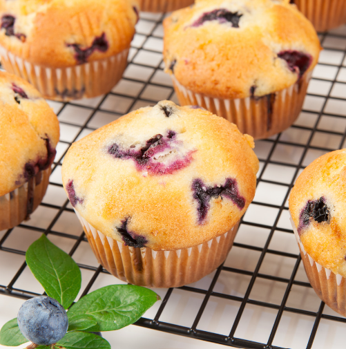 Golden blueberry muffins in paper cases on a wire cooling rack